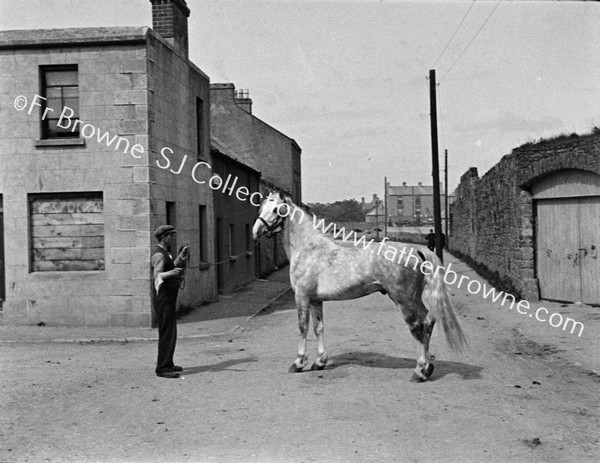 MAN WITH HORSE IN STREET